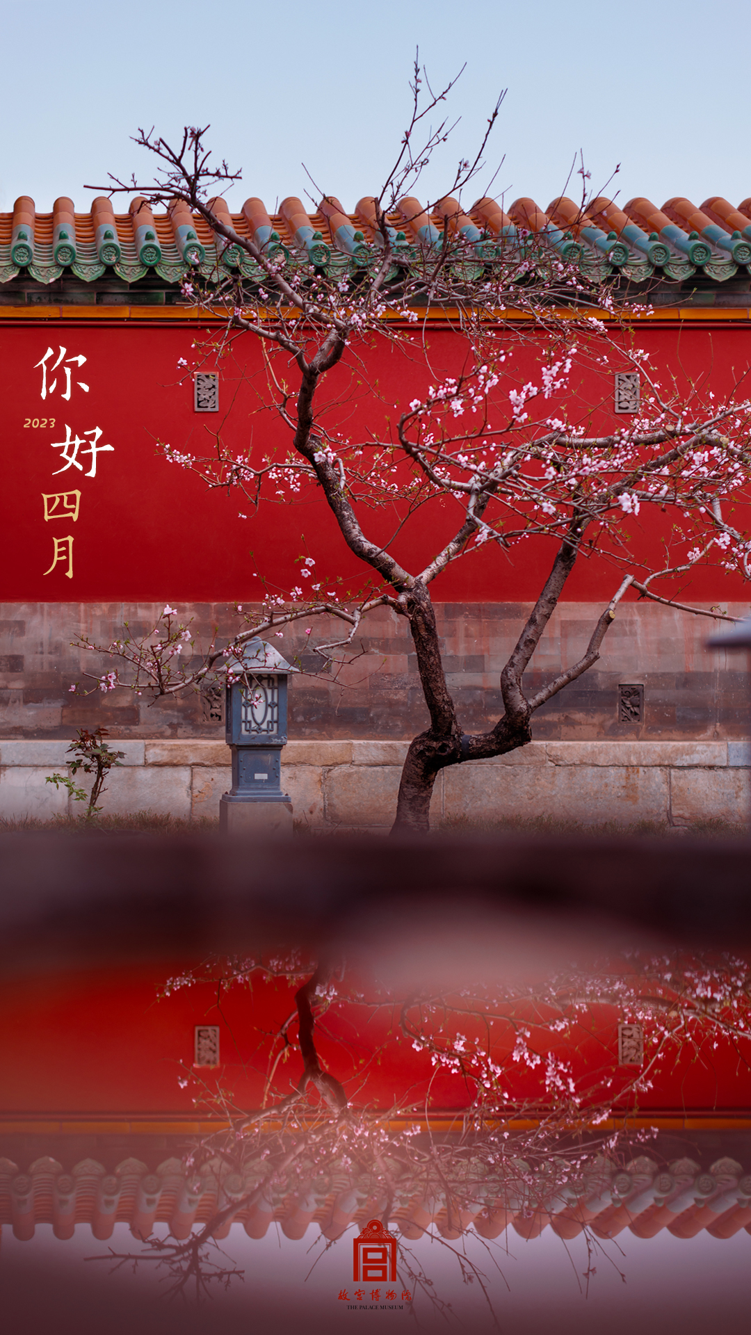 202303-建福宫-春季-花