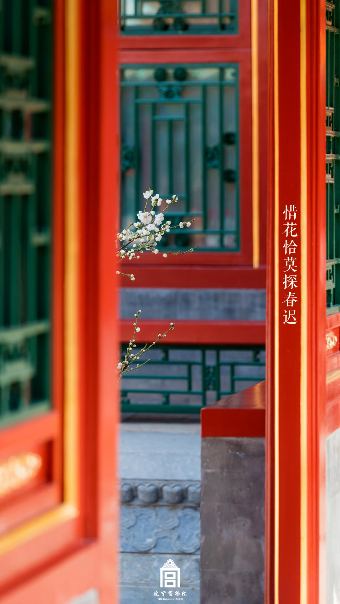 202304-建福宫花园-春季-花