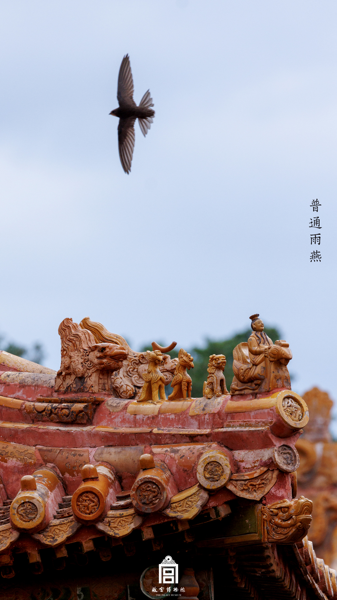 202305-永和宫-夏季-观鸟