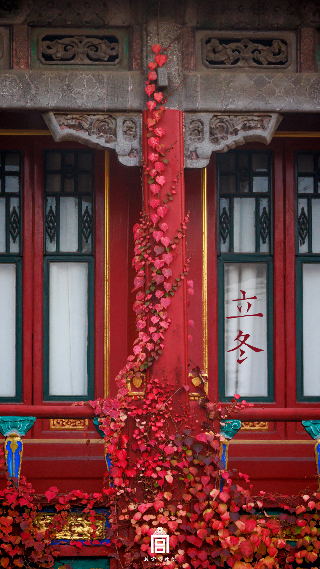 202311-御花园-冬季-红叶@立冬