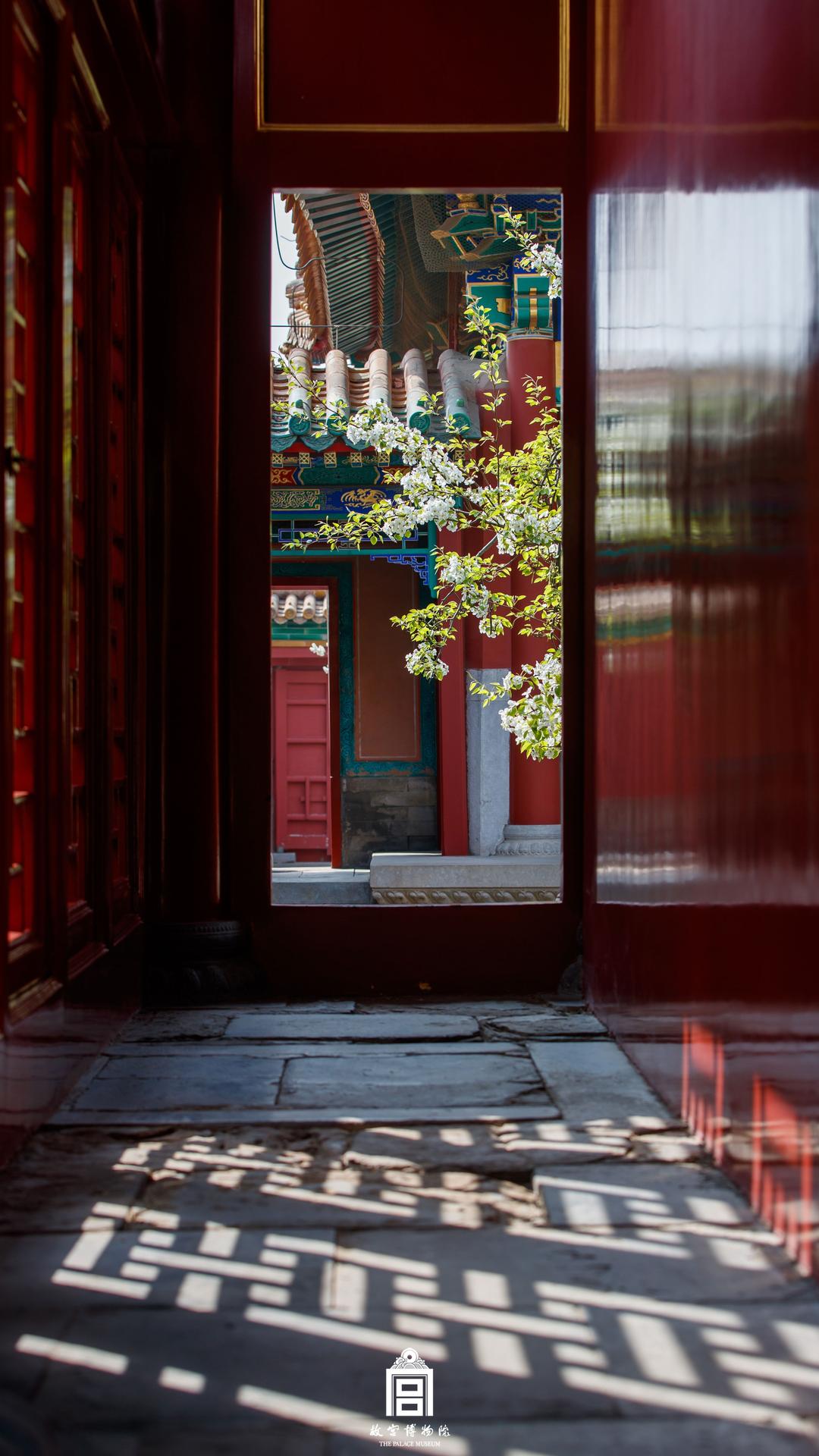 202305-建福宫-春季-门@窗