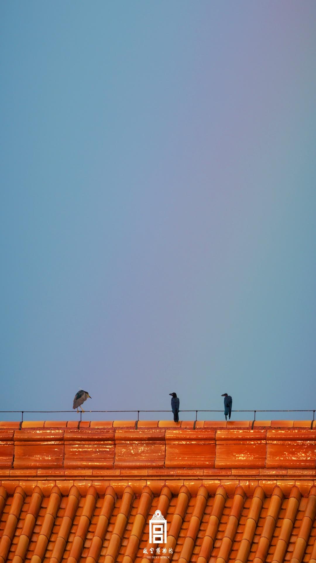 202308