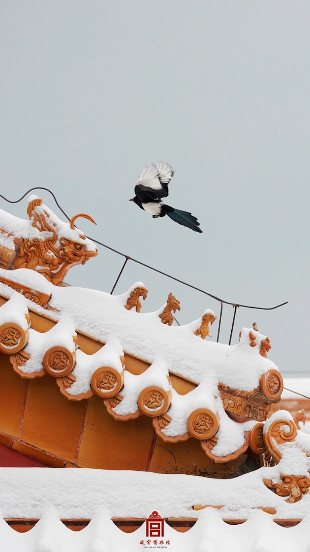 202312-坤宁宫-冬季-雪