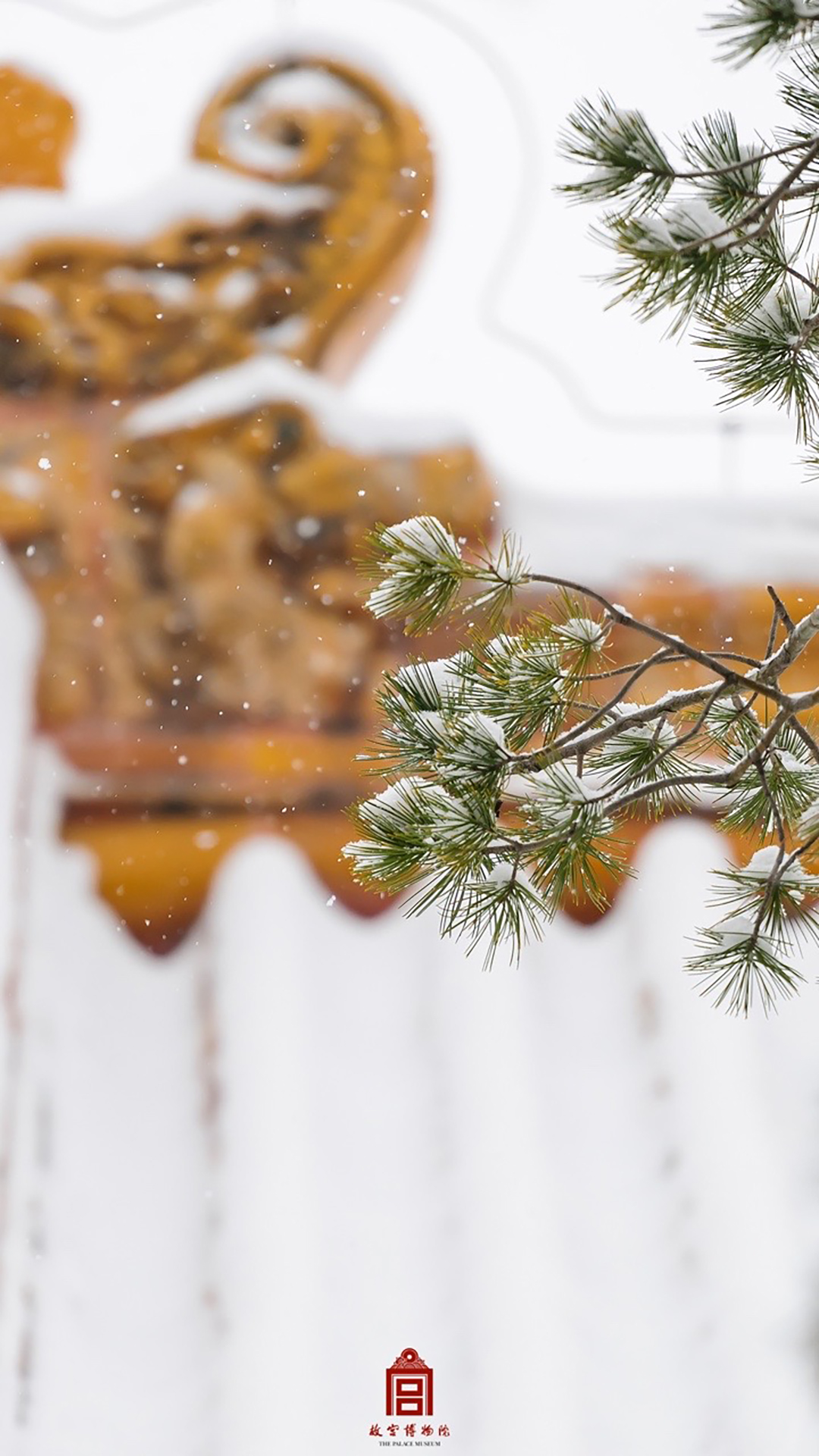 202312-慈宁宫花园-冬季-雪