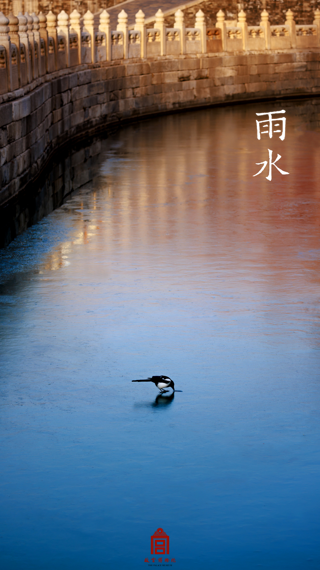 202402-内金水河-春季-喜鹊@雨水@水@石