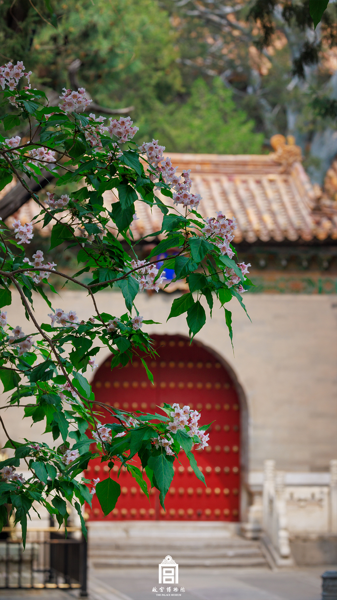 202404-御花园-春季-花