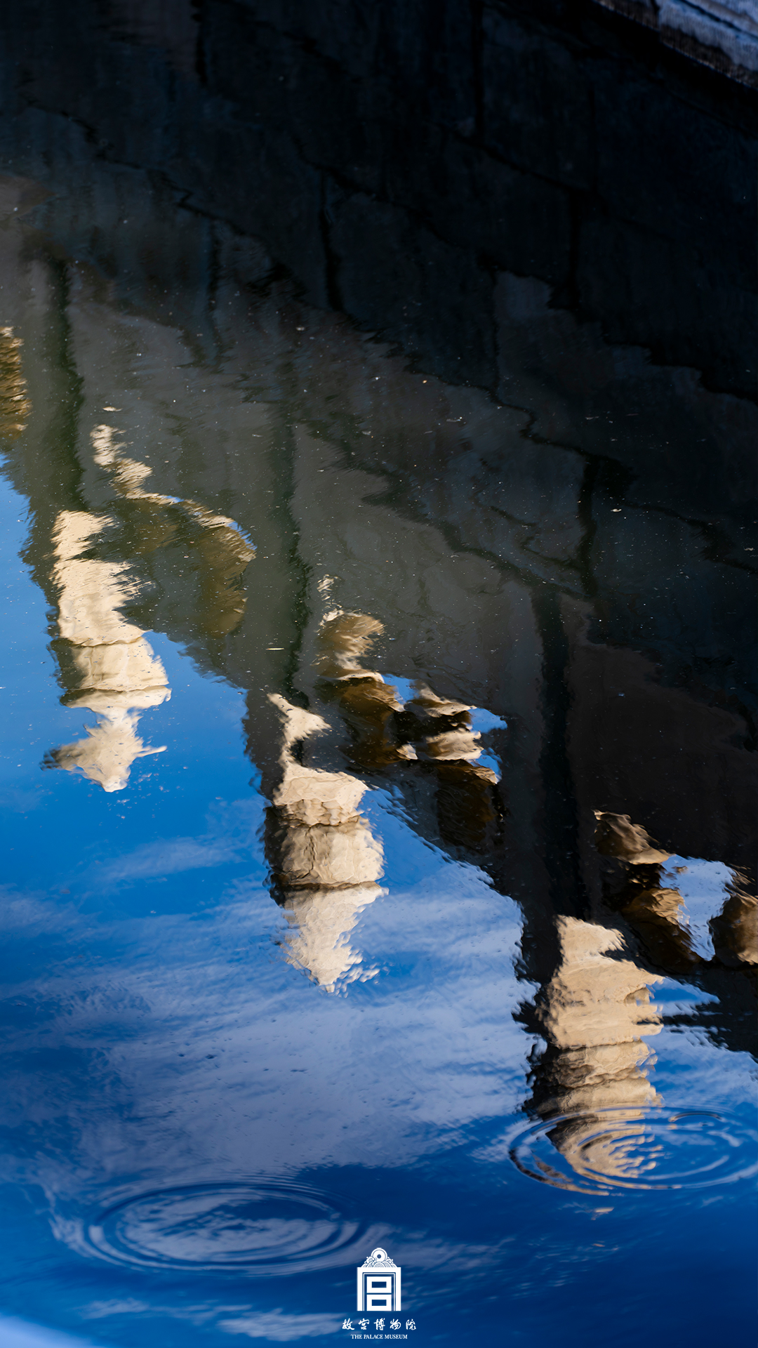 202404-金水河-春季-水@石