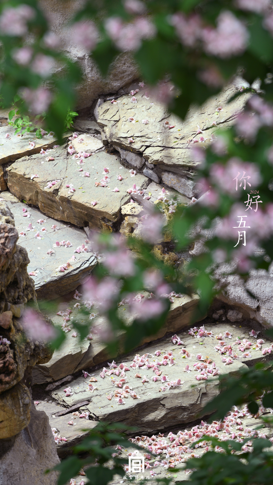 202404-建福宫-春季-花@你好系列