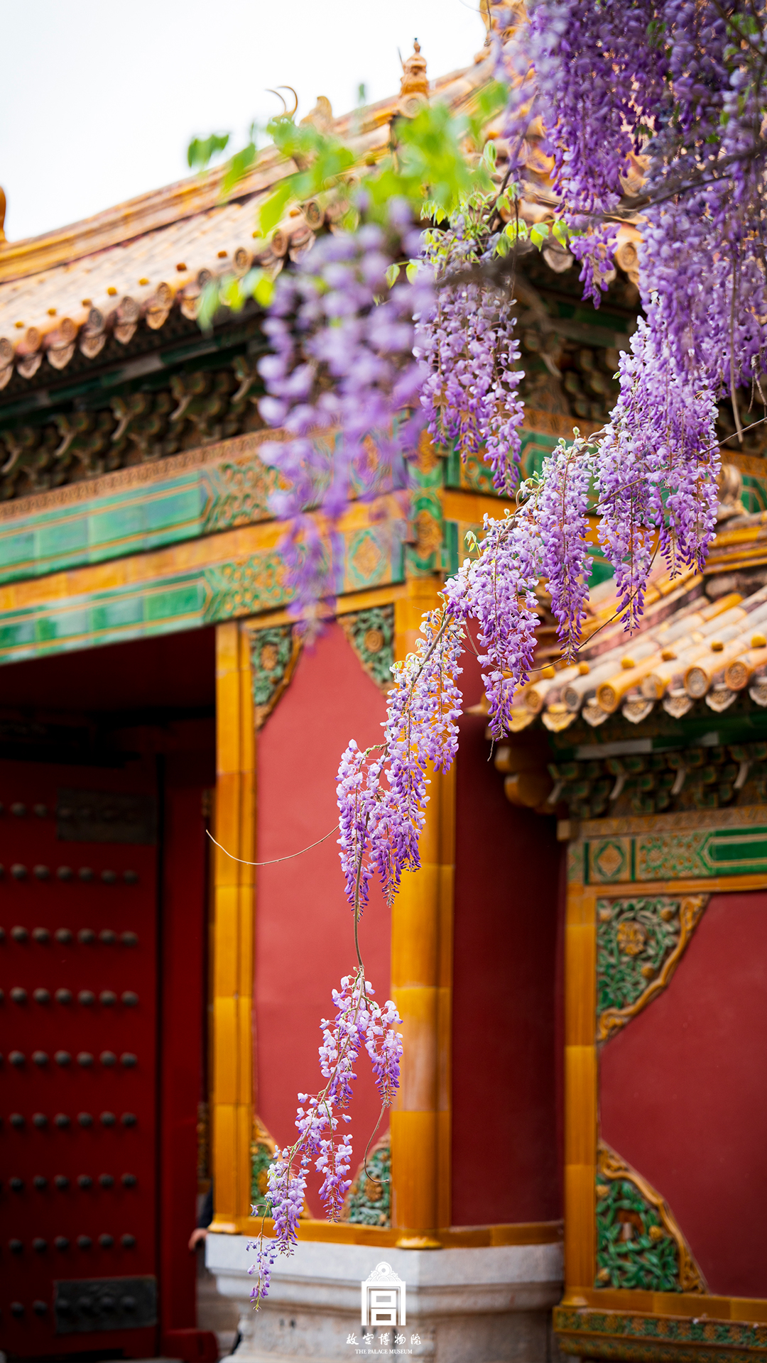 202404-永和宫-春季-花