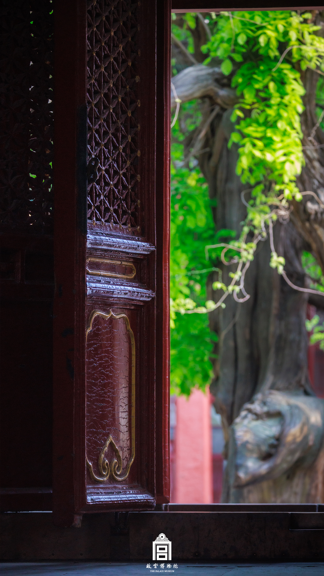 202404-御花园-春季-树@门