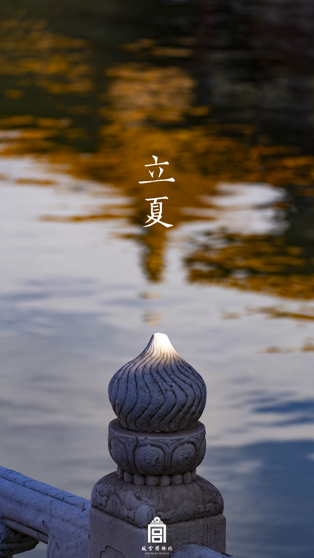 202405-内金水河-夏季-立夏@水