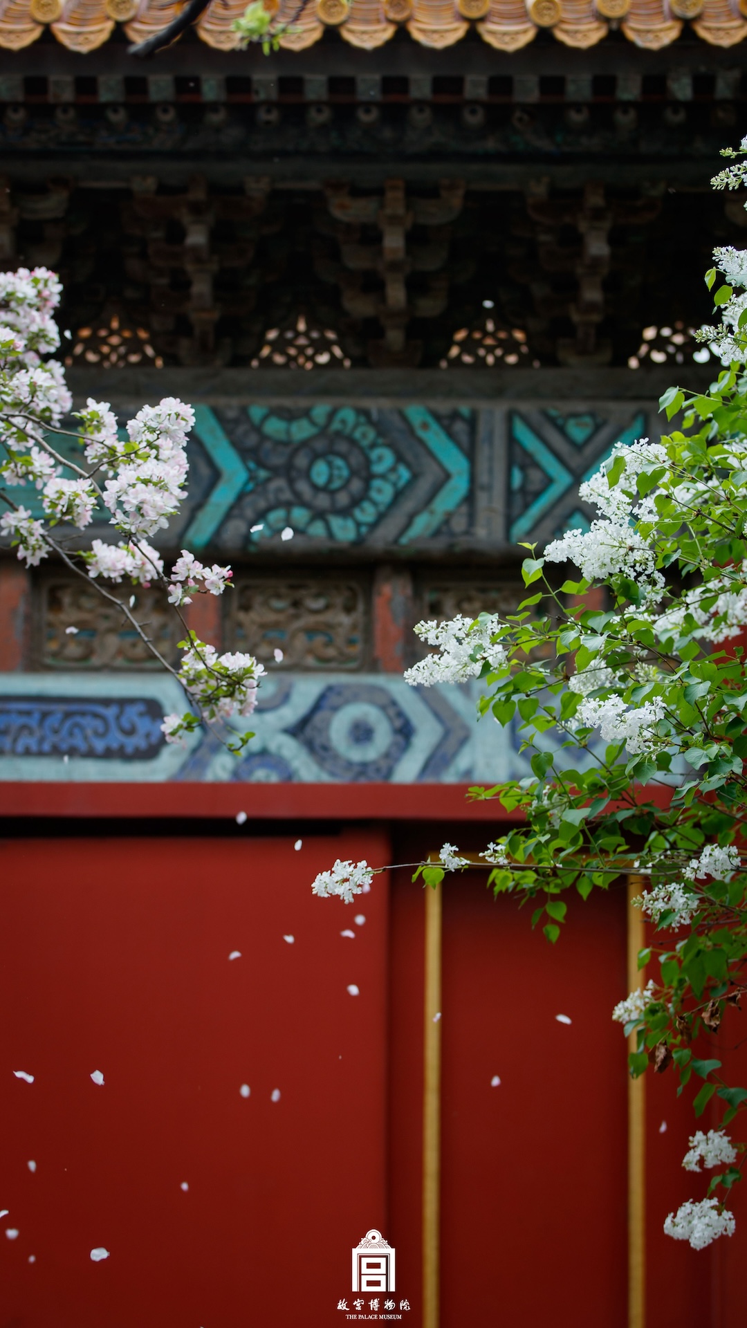 202304-寿安宫-春季-花