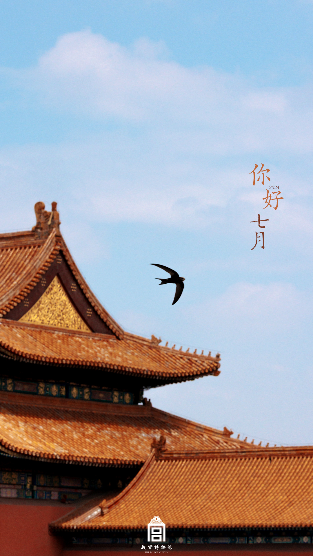 202406-太和门-夏季-鸟@燕子@你好系列