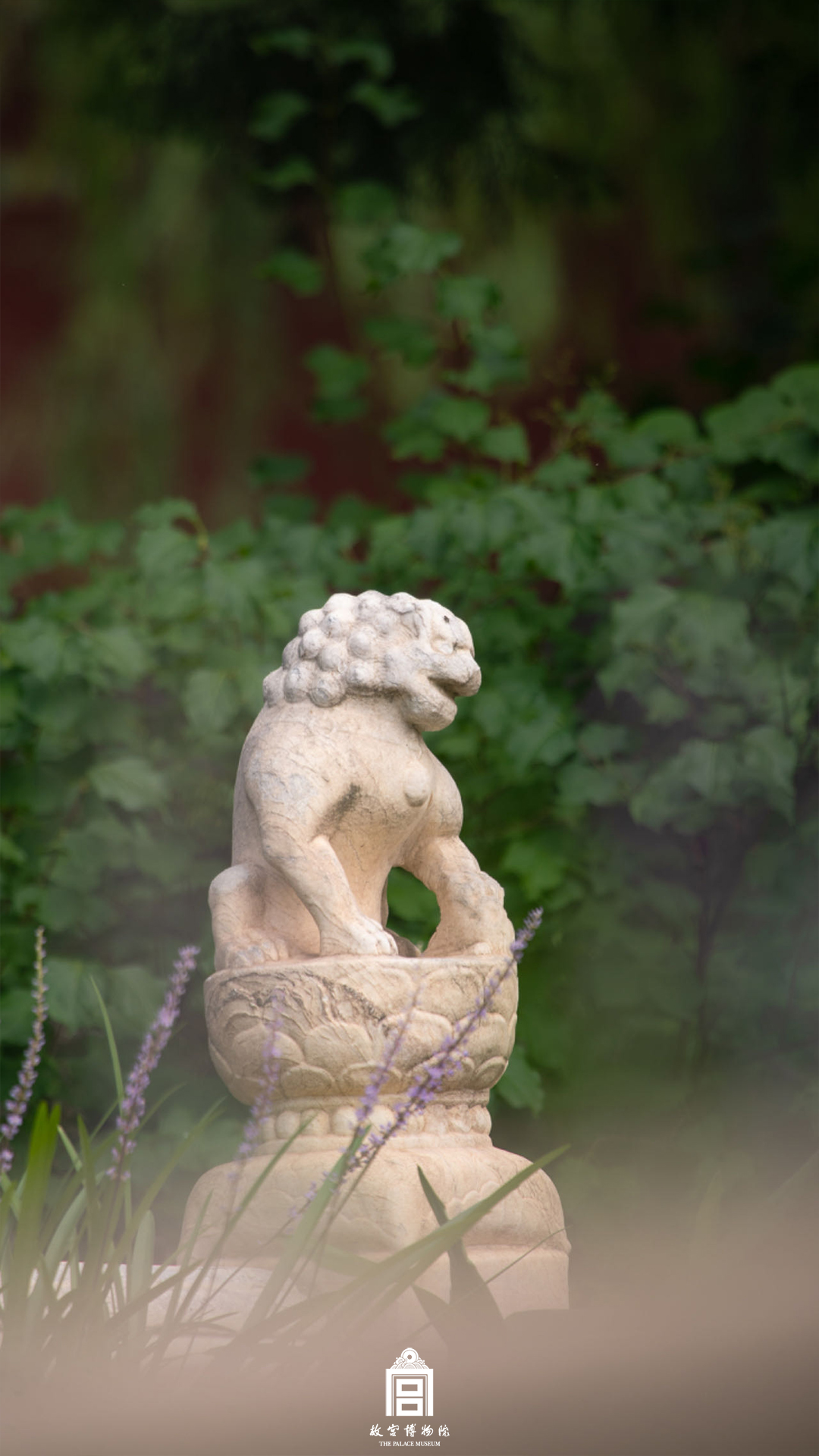 202407-断虹桥区域-夏季-石