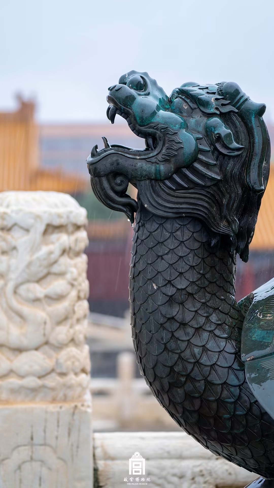 202407-太和殿广场-夏季-动物@雨