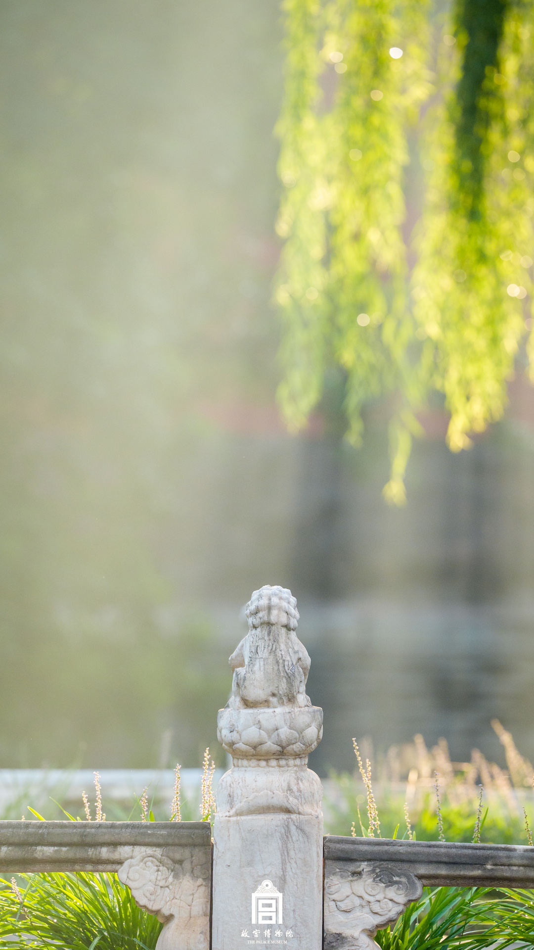 202409-断虹桥-秋季-狮子