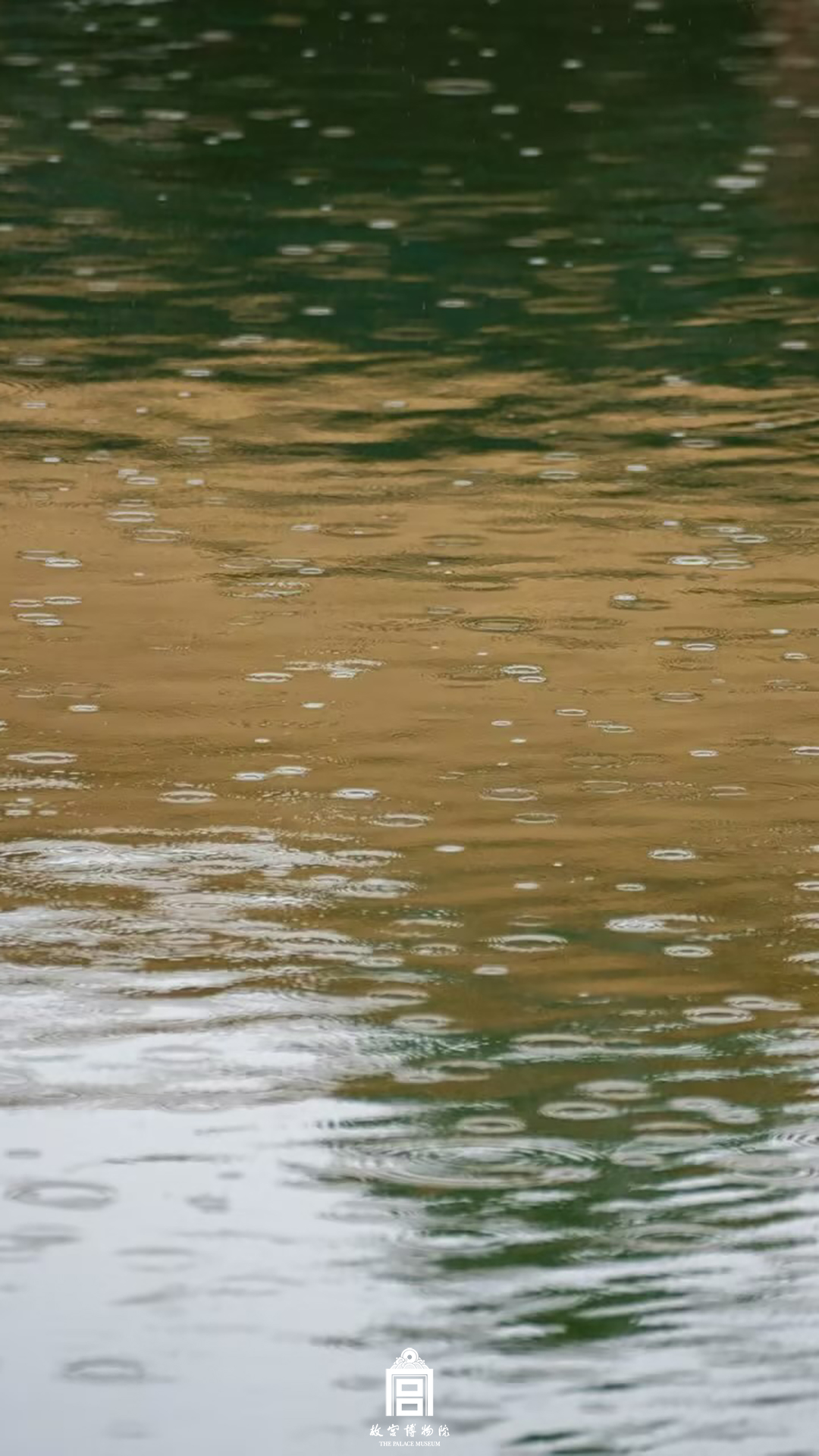 202409-内金水河区域-秋季-雨