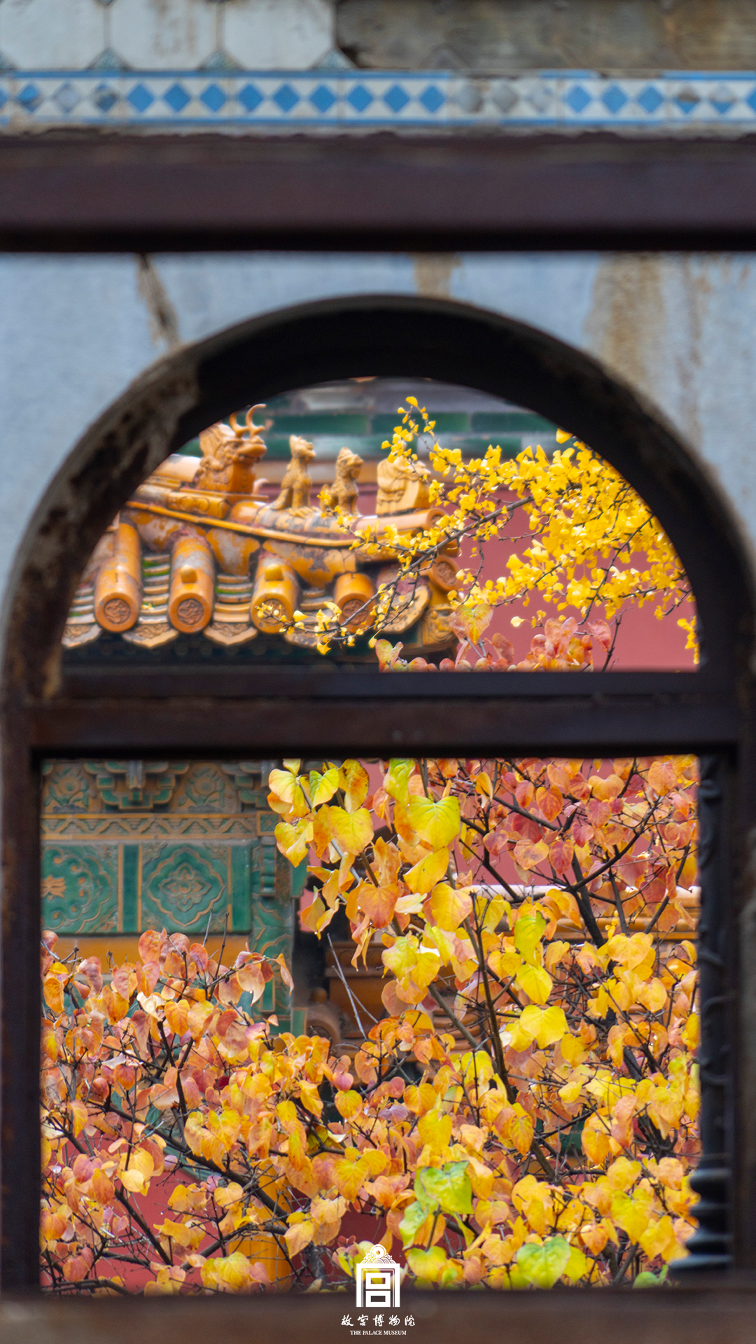 202412-灵沼轩-冬季-树@门