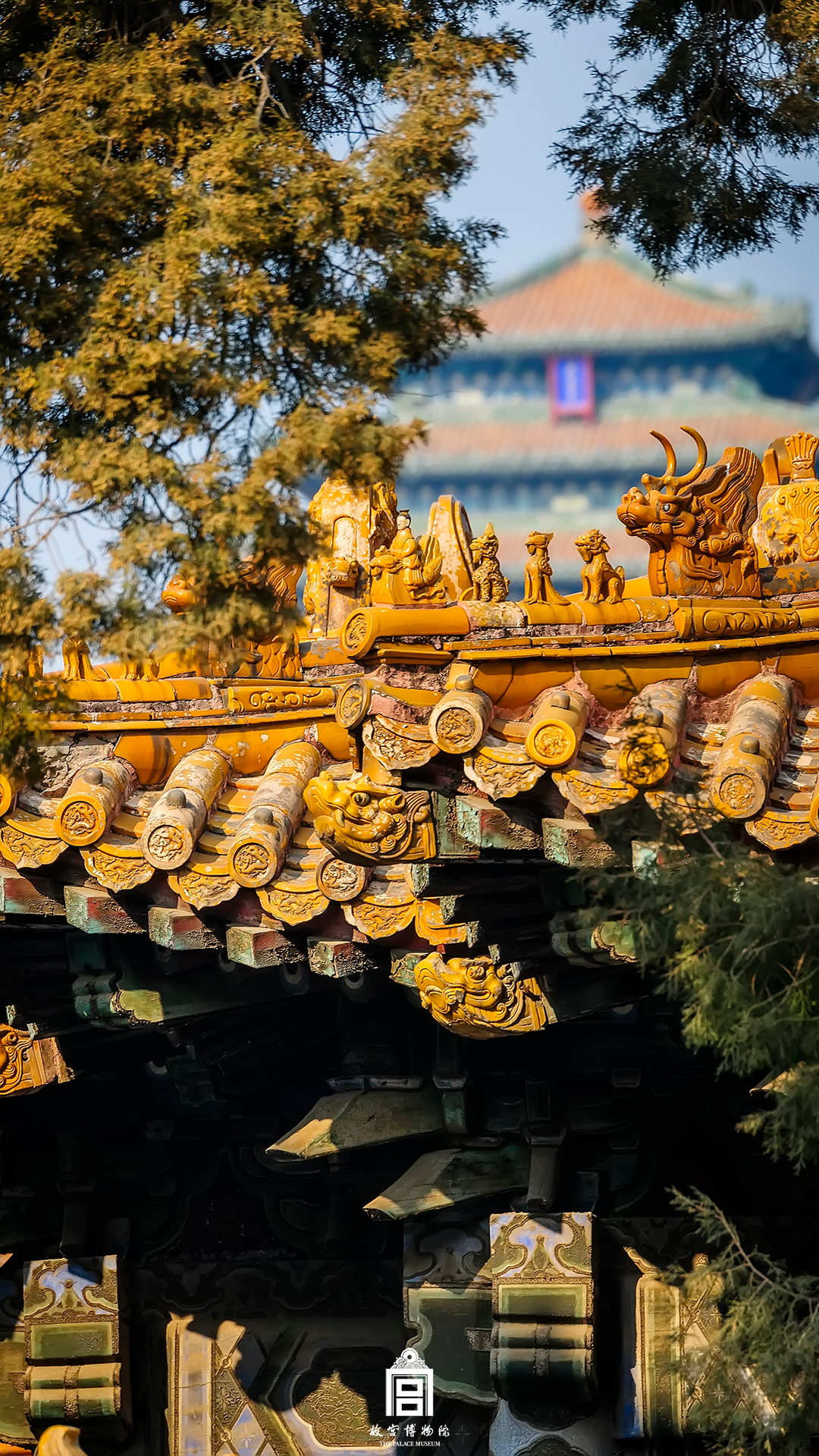 202502-御花园-春季-屋顶