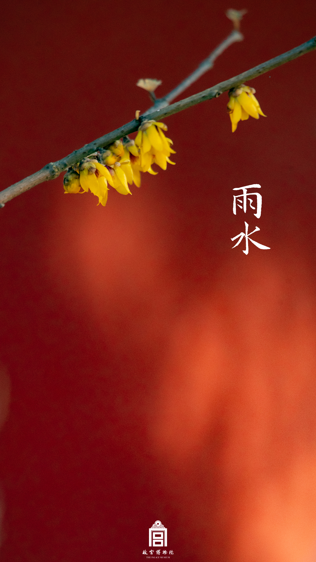 202502-箭亭广场-春季-雨水