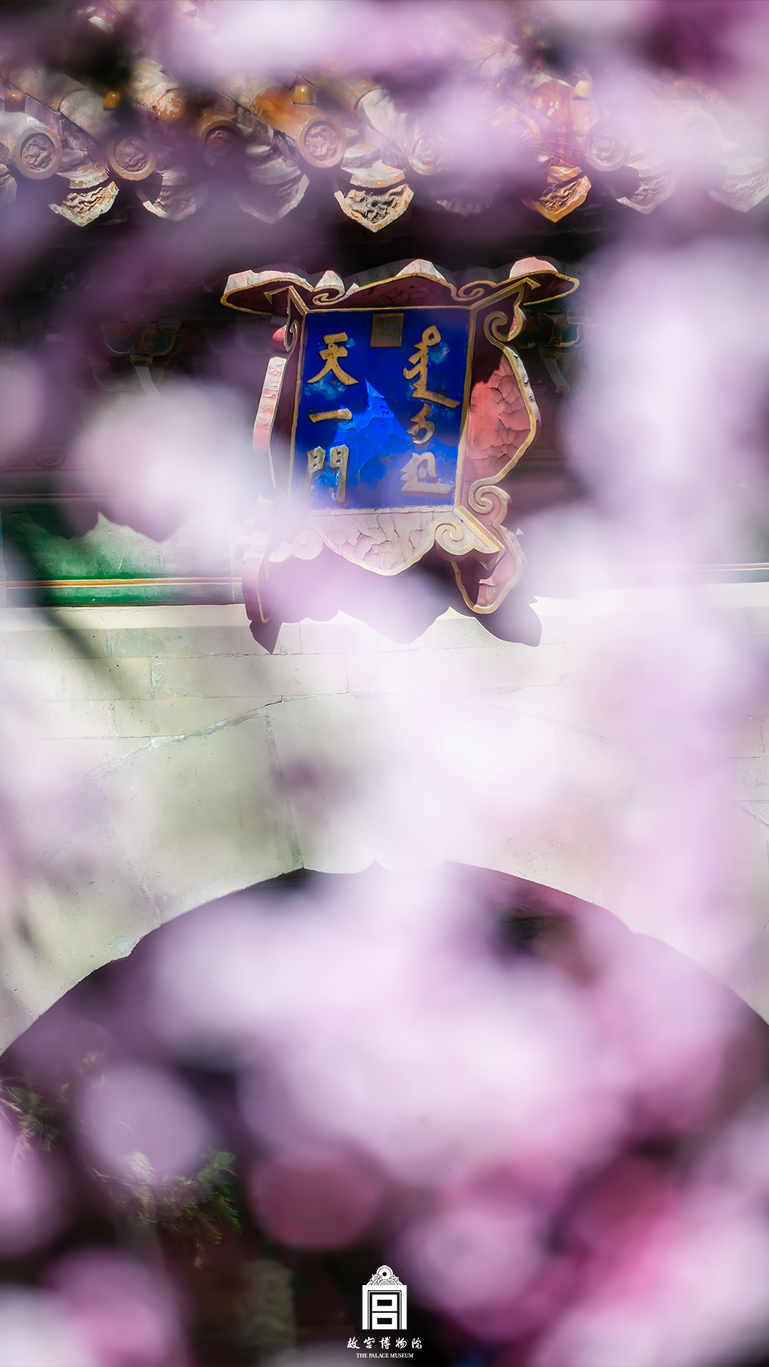 202504-御花园-春季-花@匾额