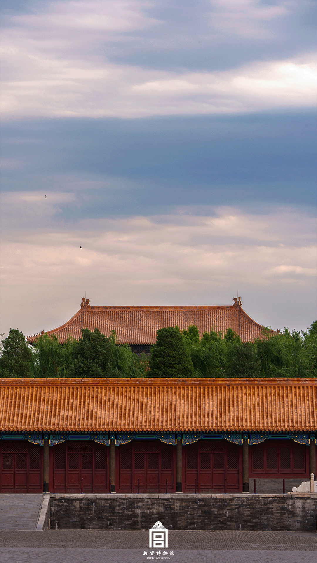 202506-太和门广场区域-夏季-庑殿顶@琉璃瓦