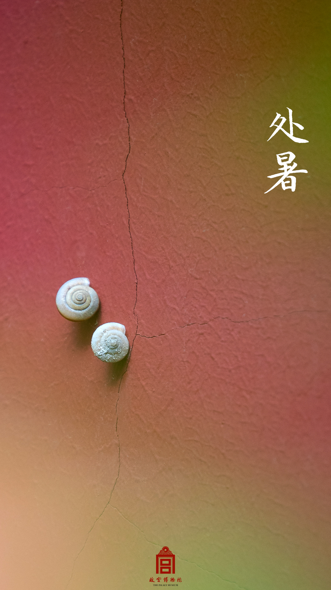 202508-宝蕴楼区域-秋季-蜗牛@处暑@墙