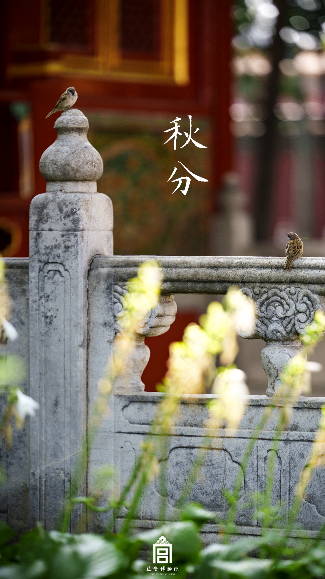 202509-慈宁宫花园-秋季-
