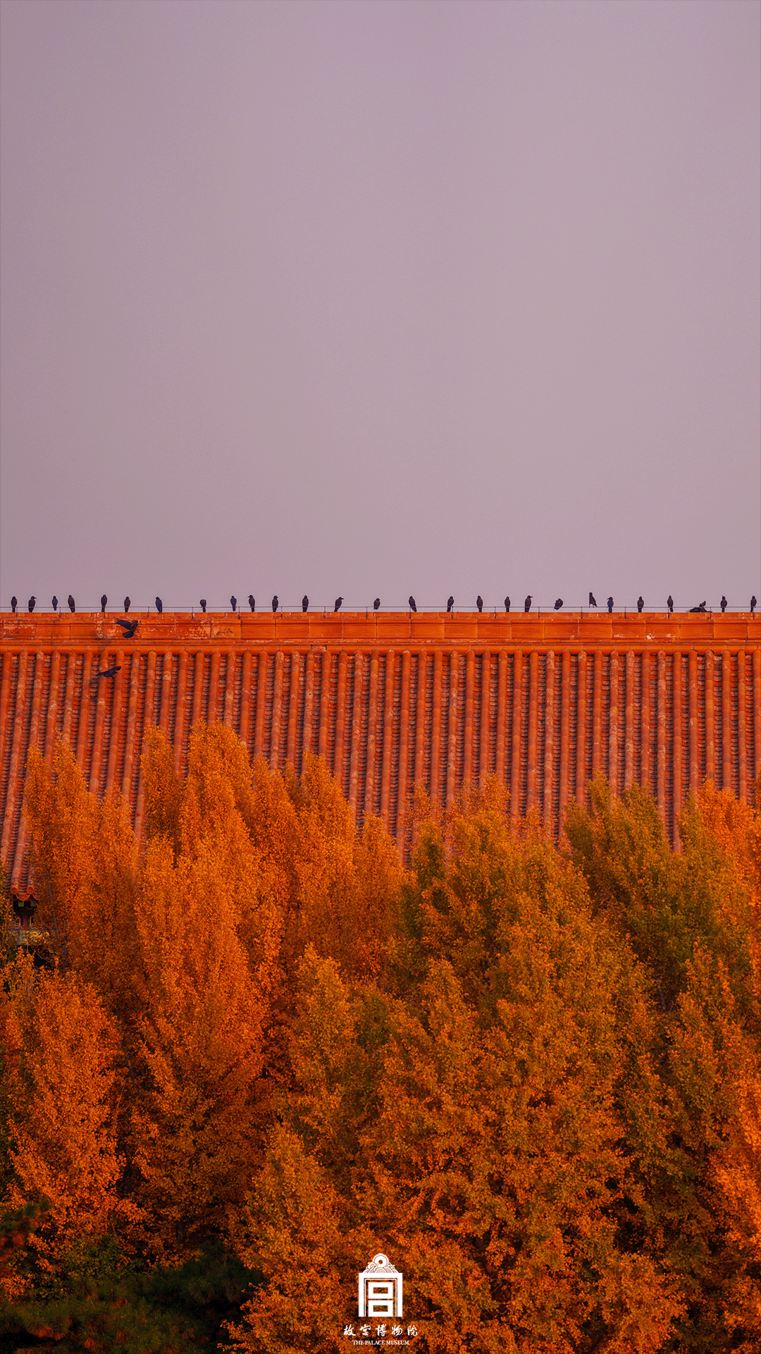 202511-弘义阁-冬季-