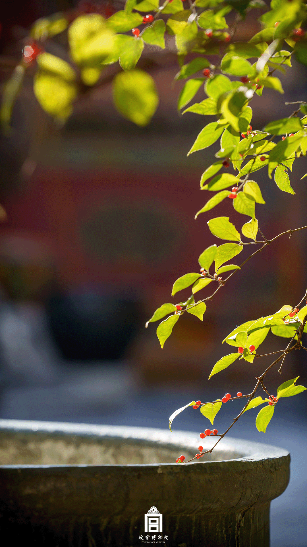 202511-御花园-冬季-