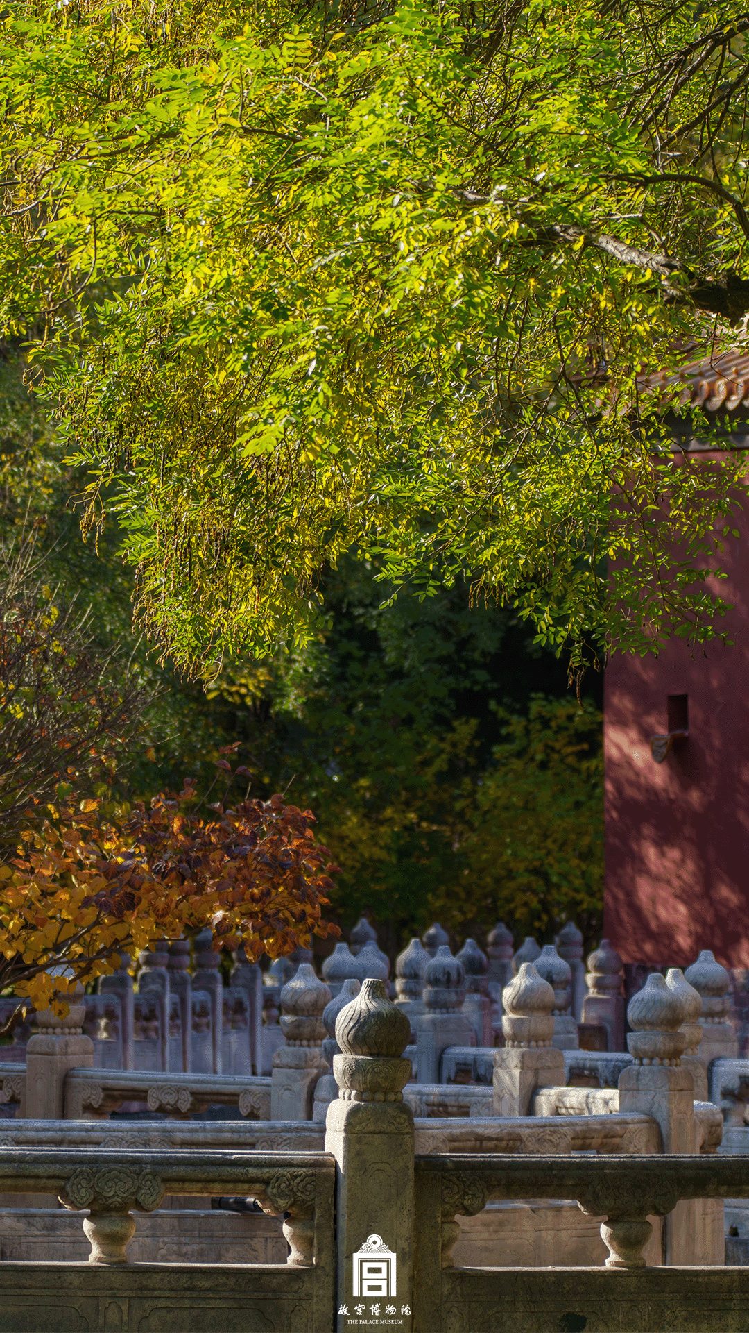 202511-内金水河-冬季-