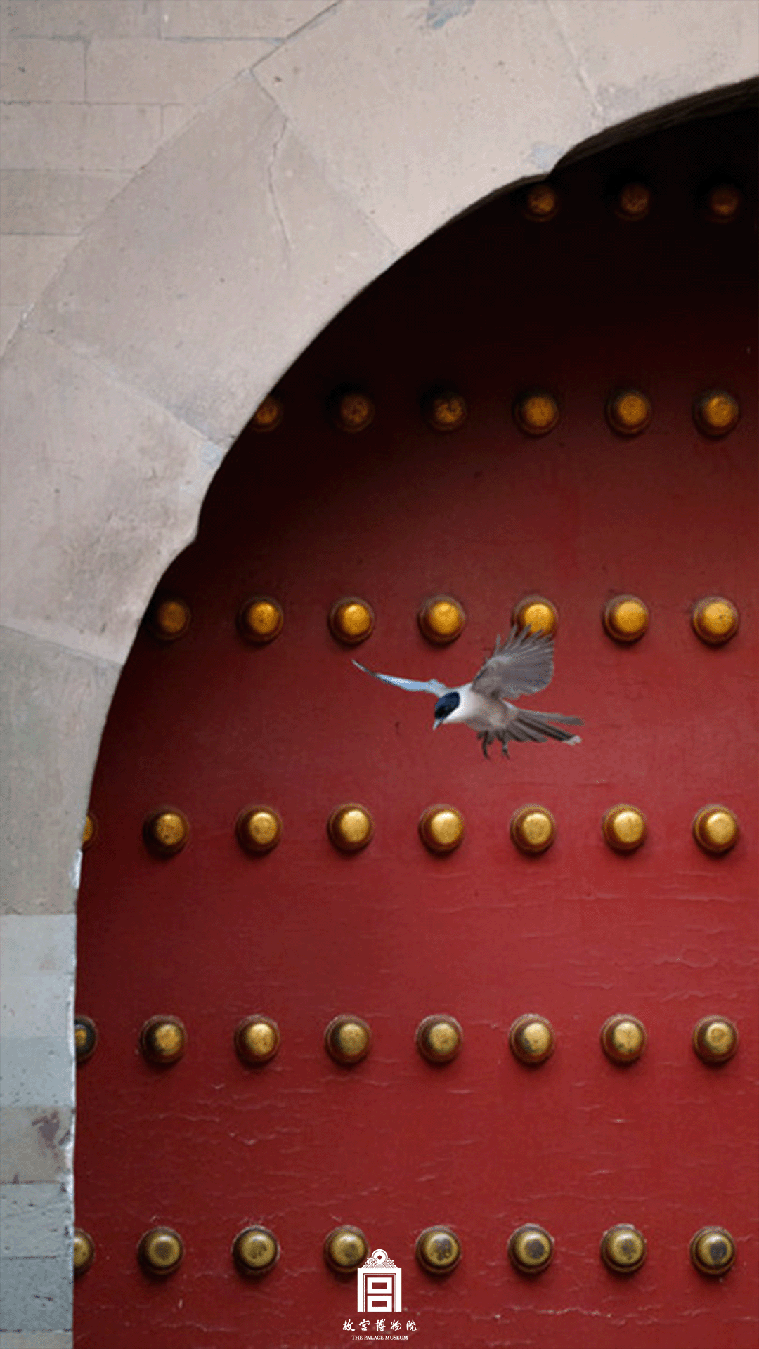 202512-御花园-冬季-