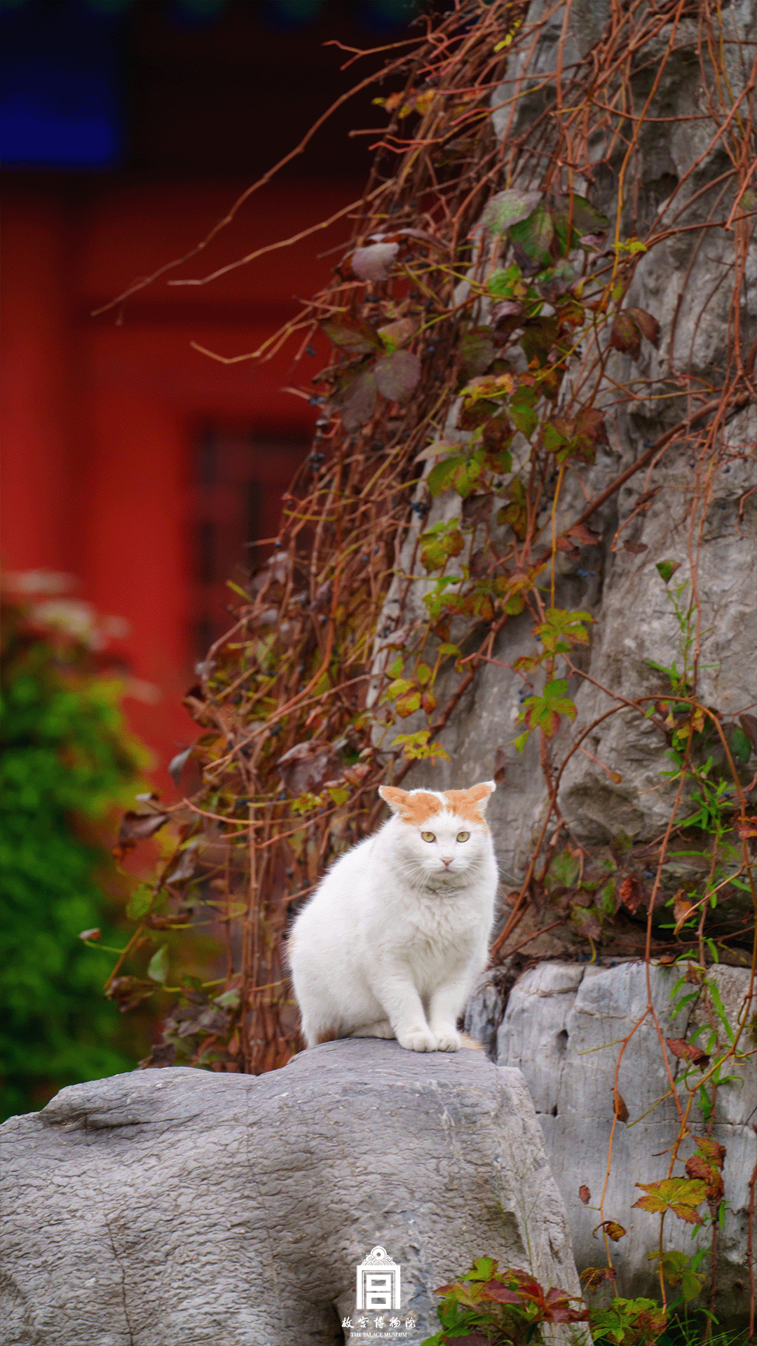 202512-南三所-冬季-