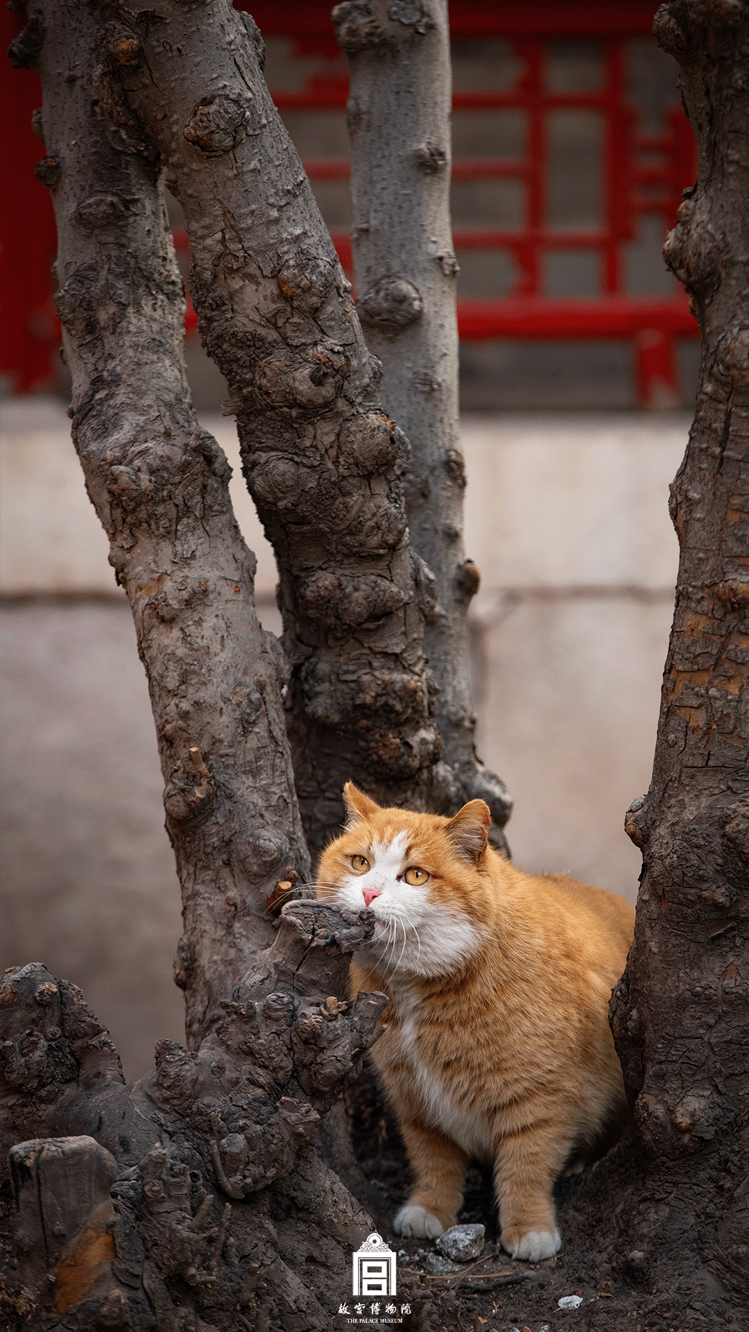 202512-珍宝馆区域-冬季-